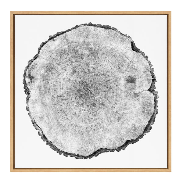 Kate & Laurel Sylvie Tree Rings Framed Canvas By Emiko And Mark Franzen Of F2Images