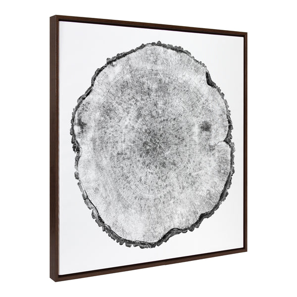 kate & laurel Sylvie Tree Rings Framed Canvas by Emiko and Mark Franzen of F2Images