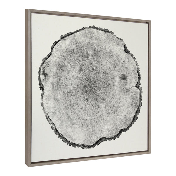 Kate & Laurel Sylvie Tree Rings Linen Framed Canvas By Emiko And Mark Franzen Of F2Images