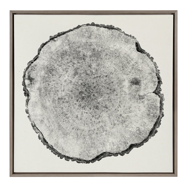 Kate & Laurel Sylvie Tree Rings Linen Framed Canvas By Emiko And Mark Franzen Of F2Images