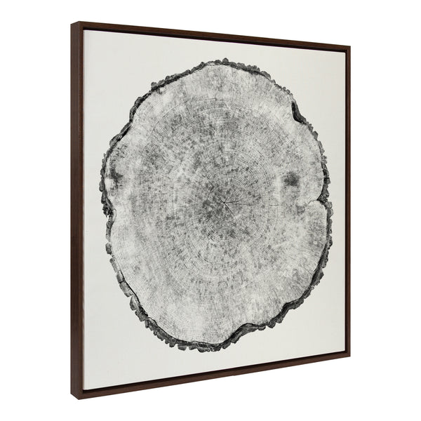 kate & laurel Sylvie Tree Rings Linen Framed Canvas by Emiko and Mark Franzen of F2Images