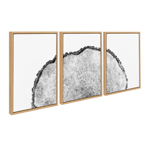 Kate & Laurel Sylvie Tree Rings Set Framed Canvas By Emiko And Mark Franzen Of F2Images