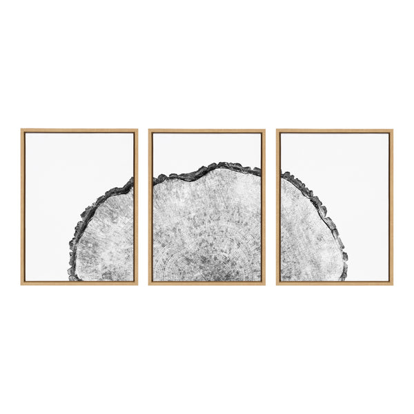 Kate & Laurel Sylvie Tree Rings Set Framed Canvas By Emiko And Mark Franzen Of F2Images