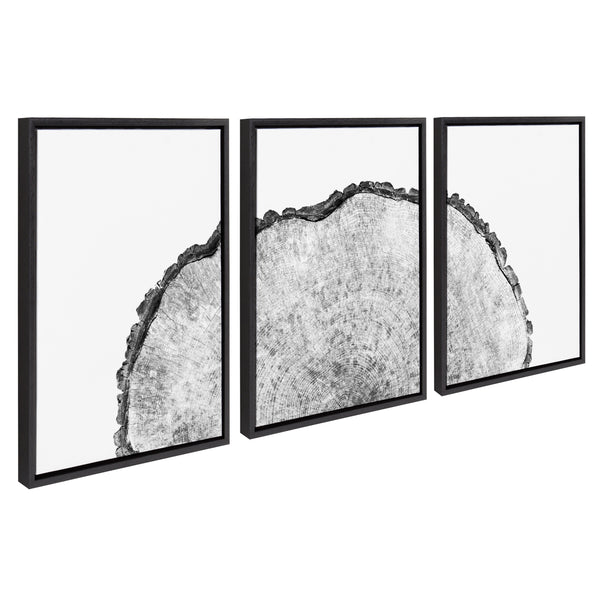 kate & laurel Sylvie Tree Rings Set Framed Canvas by Emiko and Mark Franzen of F2Images