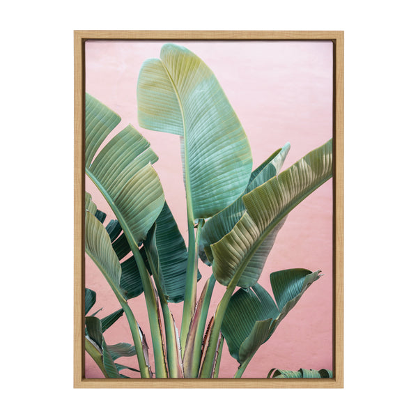 Kate & Laurel Sylvie Tropic Pink Framed Canvas By Alicia Bock