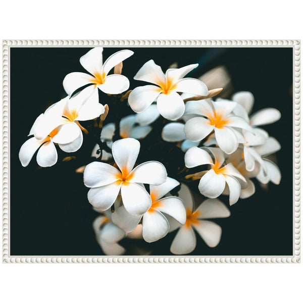 Kate & Laurel Sylvie Tropical Flowers Framed Canvas By Alicia Abla