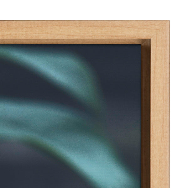 Kate & Laurel Sylvie Tropical Frond Framed Canvas By F2 Images