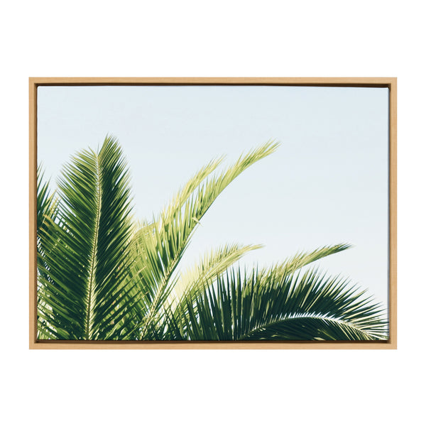 Kate & Laurel Sylvie Tropical Palm Under Blue Sky Framed Canvas By Amy Peterson Art Studio