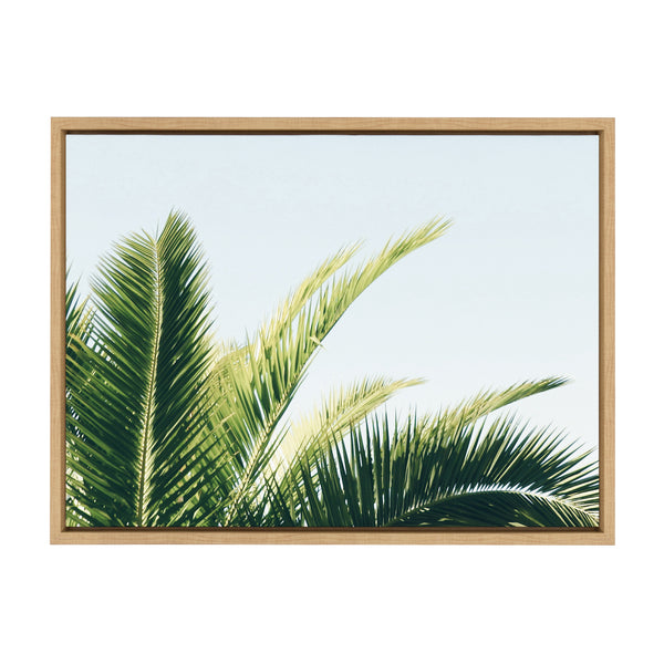 kate & laurel Sylvie Tropical Palm Under Blue Sky Framed Canvas by Amy Peterson Art Studio