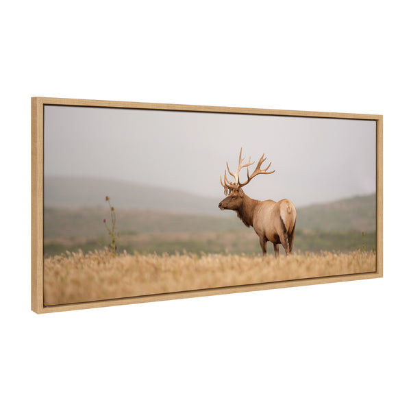 Kate & Laurel Sylvie Tule Elk No 3 Framed Canvas By Crystal Lynn Collins