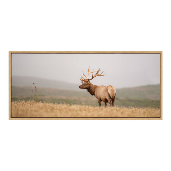 Kate & Laurel Sylvie Tule Elk No 3 Framed Canvas By Crystal Lynn Collins