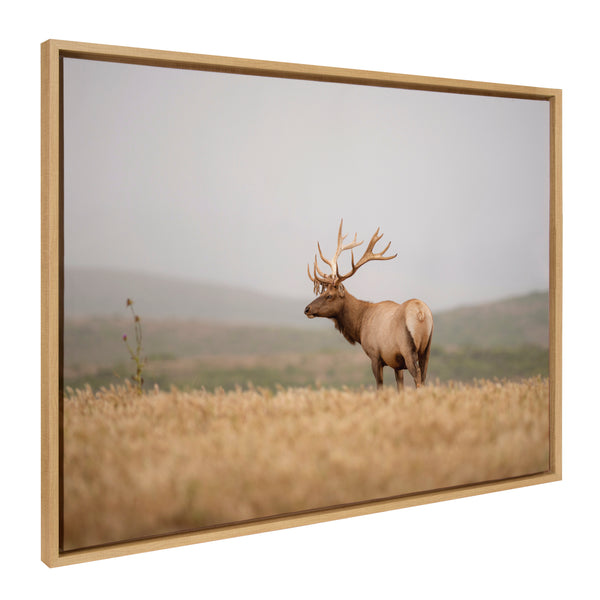 kate & laurel Sylvie Tule Elk No 3 Framed Canvas by Crystal Lynn Collins