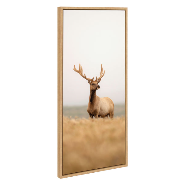 Kate & Laurel Sylvie Tule Elk No 6 Framed Canvas By Crystal Lynn Collins