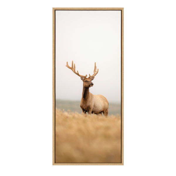Kate & Laurel Sylvie Tule Elk No 6 Framed Canvas By Crystal Lynn Collins