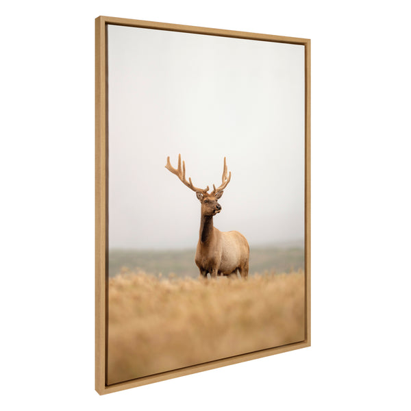 kate & laurel Sylvie Tule Elk No 6 Framed Canvas by Crystal Lynn Collins