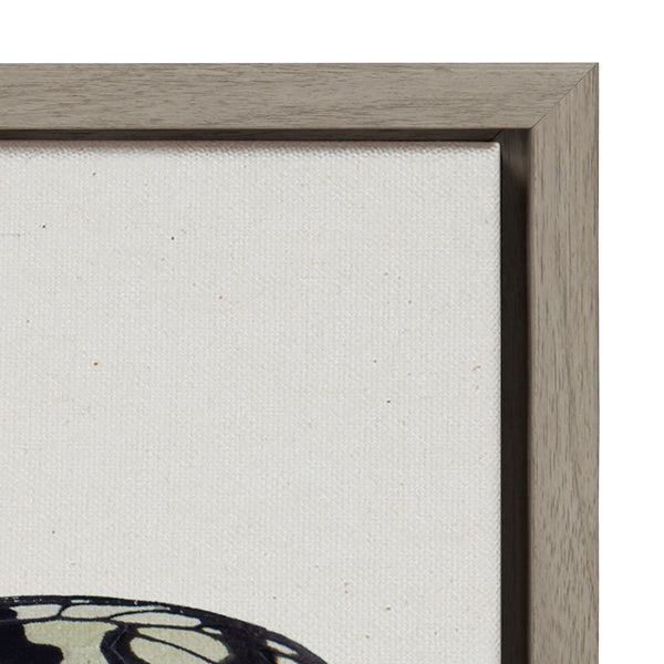 Kate & Laurel Sylvie Two Tone Butterfly Framed Canvas By Robert Cadloff Of Bomobob