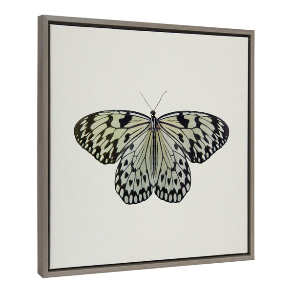 kate & laurel Sylvie Two Tone Butterfly Framed Canvas by Robert Cadloff of Bomobob