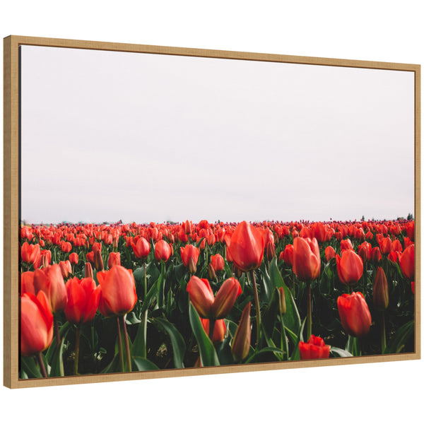 kate & laurel Sylvie Vibrant Red Tulip Flower Field Framed Canvas by Patricia Hasz of Patricia Rae Photography