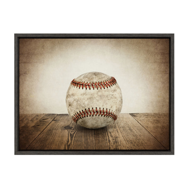kate & laurel Sylvie Vintage Baseball Framed Canvas by Shawn St. Peter