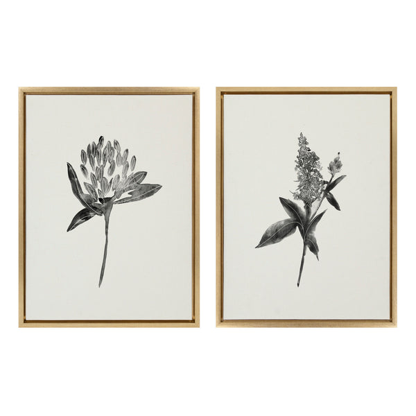 Kate & Laurel Sylvie Vintage Botanical 1 And 2 Framed Canvas By Teju Reval Of SnazzyHues