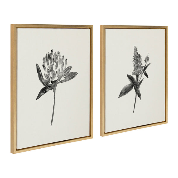 Kate & Laurel Sylvie Vintage Botanical 1 And 2 Framed Canvas By Teju Reval Of SnazzyHues