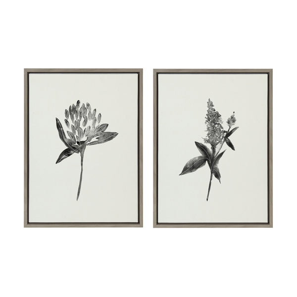 kate & laurel Sylvie Vintage Botanical 1 and 2 Framed Canvas by Teju Reval of SnazzyHues