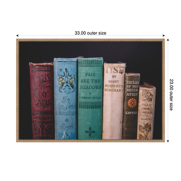 Kate & Laurel Sylvie Vintage Classic Books Framed Canvas By Patricia Hasz Of Patricia Rae Photography