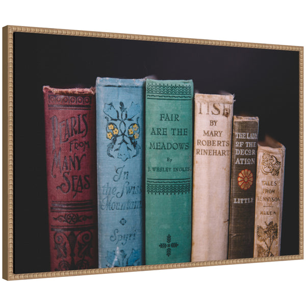 kate & laurel Sylvie Vintage Classic Books Framed Canvas by Patricia Hasz of Patricia Rae Photography