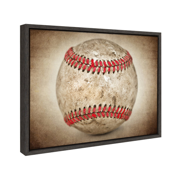 Kate & Laurel Sylvie Vintage Hardball Framed Canvas By Shawn St. Peter