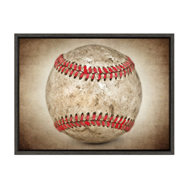 kate & laurel Sylvie Vintage Hardball Framed Canvas by Shawn St. Peter