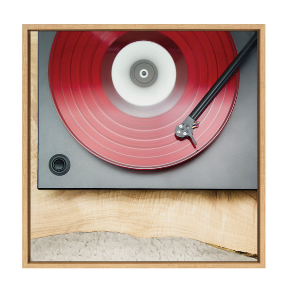 Kate & Laurel Sylvie Vinyl Vibes Color Framed Canvas By Emiko And Mark Franzen Of F2Images