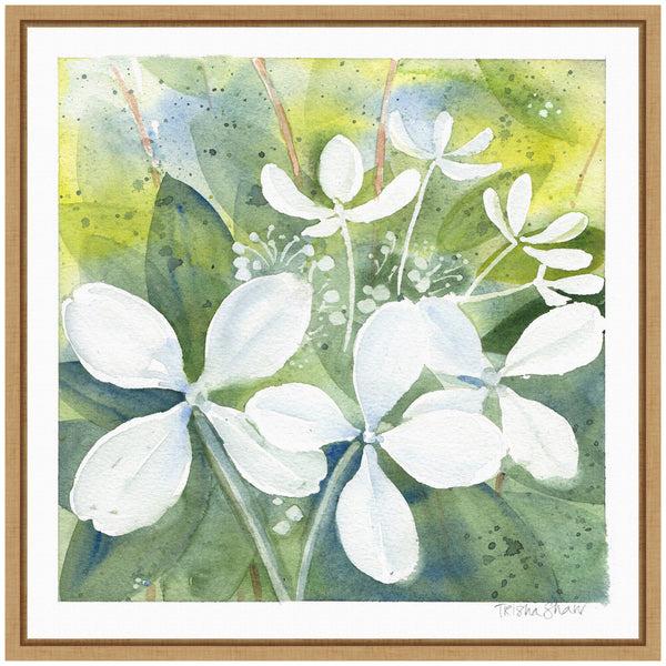 Kate & Laurel Sylvie White Phantom Hydrangea In Greens Framed Canvas By Patricia Shaw