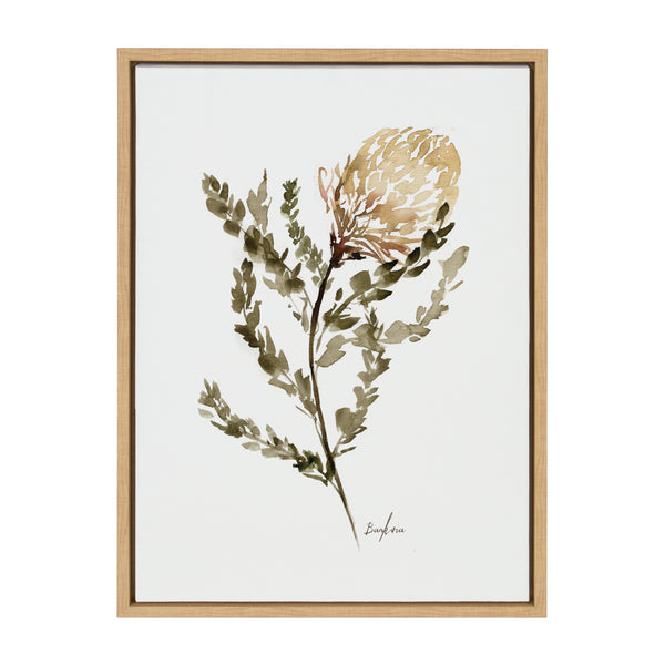 kate & laurel Sylvie Wild Banksia Framed Canvas by Sara Berrenson