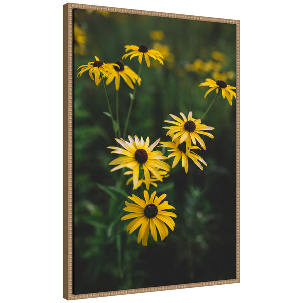 kate & laurel Sylvie Yellow Daisy Floral Blooms Framed Canvas by Patricia Hasz of Patricia Rae Photography