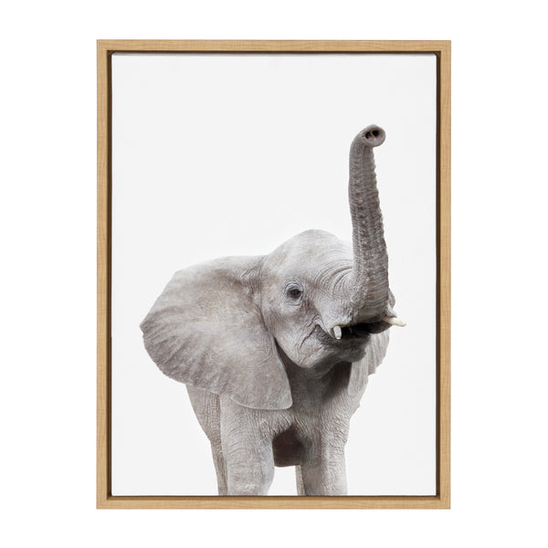 Kate & Laurel Sylvie Young Elephant Framed Canvas By Amy Peterson