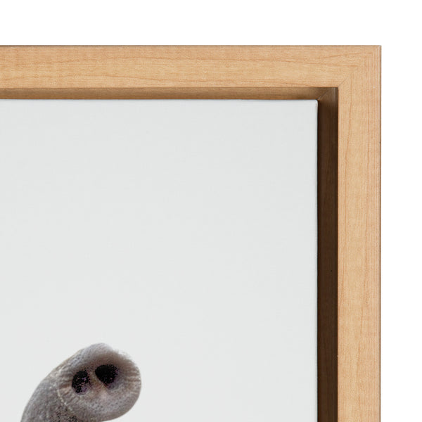 Kate & Laurel Sylvie Young Elephant Framed Canvas By Amy Peterson