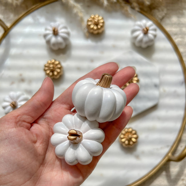 Kate Aspen White Pumpkin Place Card Holder (Set Of 6)