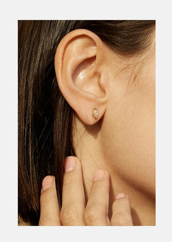 Katkim Mini Marquise Stud