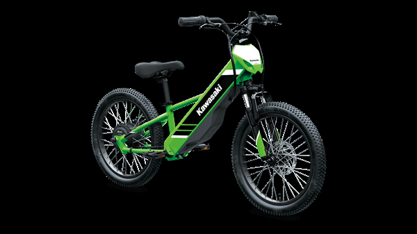 Kawasaki EVERY DAY IS ELECTRIC