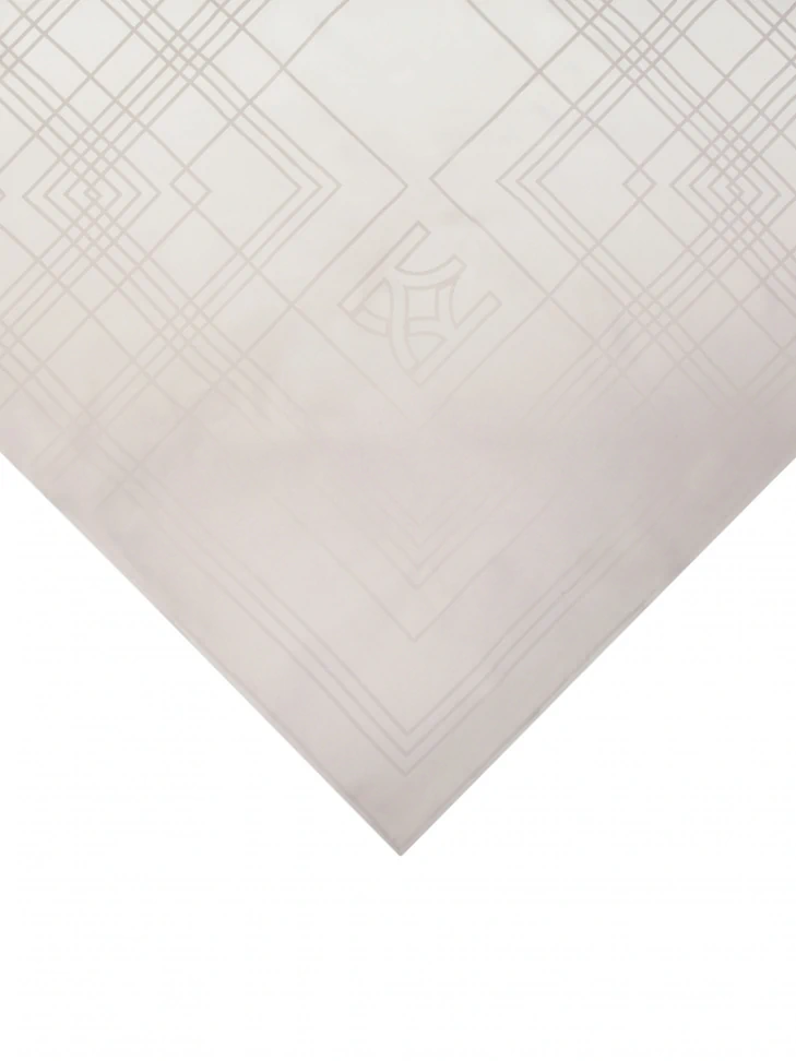 Kazar Silk Silver Scarf