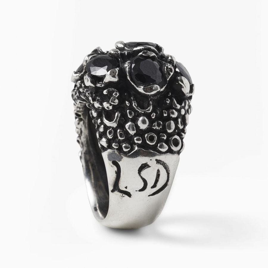 Kd2024 KDRI038 RING VISION