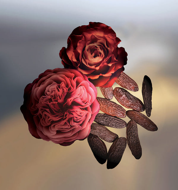 Keiko Mecheri Fragrances BAL DE ROSES