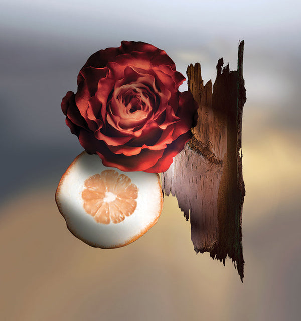 Keiko Mecheri Fragrances BOHÈMES