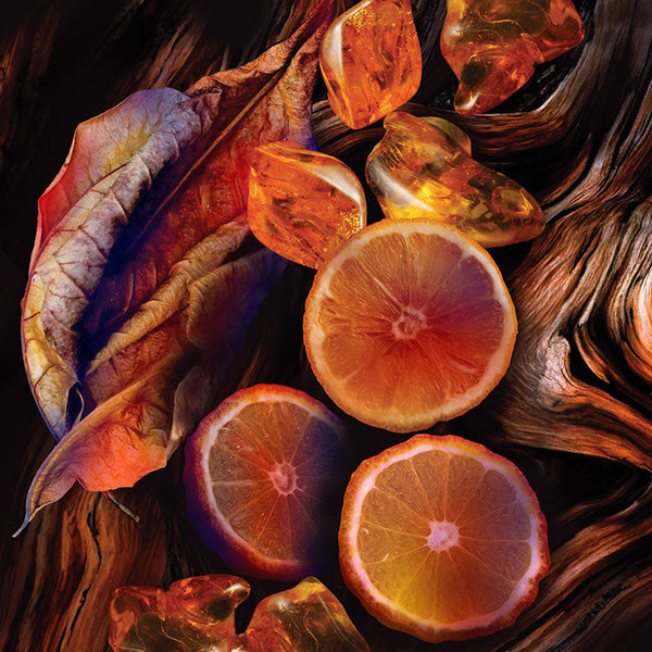 Keiko Mecheri Fragrances CURIOUS AMBER