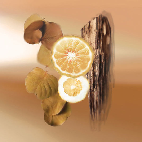 Keiko Mecheri Fragrances ENDLESS SUMMER