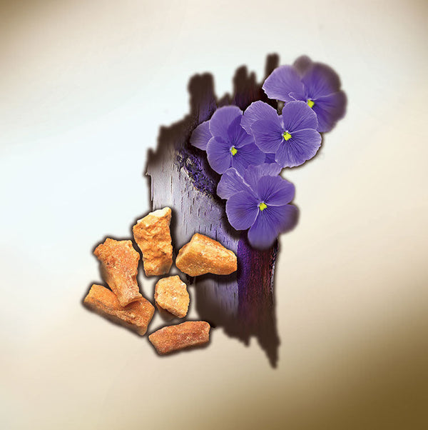 Keiko Mecheri Fragrances GÉNIE DES BOIS