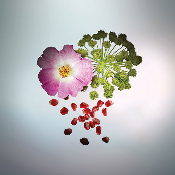 Keiko Mecheri Fragrances GRENATS