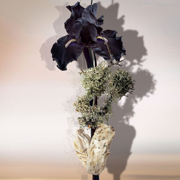 Keiko Mecheri Fragrances IRIS D'ARGENT