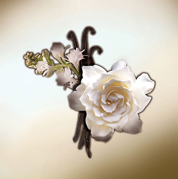 Keiko Mecheri Fragrances ISLES LOÎNTAINES