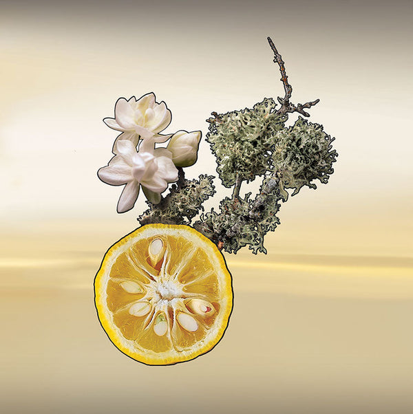 Keiko Mecheri Fragrances LES NUITS D'IZU